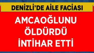 Amcaoğlunu öldürdü, intihar etti