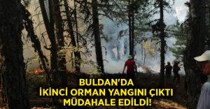 Buldan’da ikinci orman yangını çıktı.. Müdahale edildi!