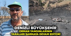 Büyükşehir orman yangınlarının yaraları sarmaya devam ediyor