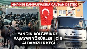 Çal’dan yangın bölgesine 41 damızlık keçi