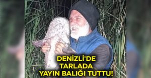 Denizli’de tarlada yayın balığı tuttu!