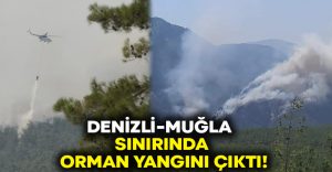 Denizli-Muğla sınırında orman yangını çıktı!