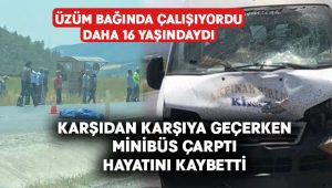 Üzüm bağında çalışan 16 yaşındaki genç kaza kurbanı