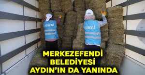 Merkezefendi Belediyesi Aydın’ın da yanında!