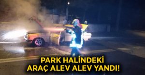 Park halindeki araç alev alev yandı!