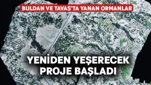 Yanan ormanlar için ağaçlandırma projesi başladı