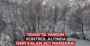 Tavas’ta meydana gelen orman yangını kontrol altında.. Geri kalan acı manzaralar!