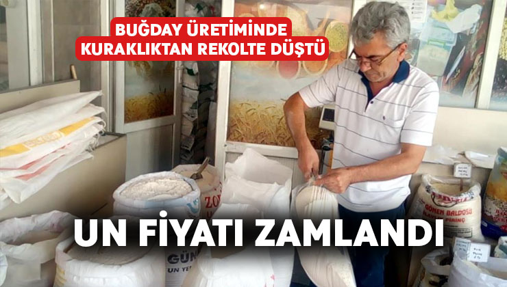 Buğday üretiminde kuraklıktan rekolte düştü, un fiyatı zamlandı