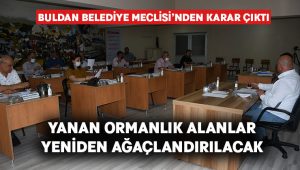 Buldan’da yanan ormanlık alanlar yeniden ağaçlandırılacak