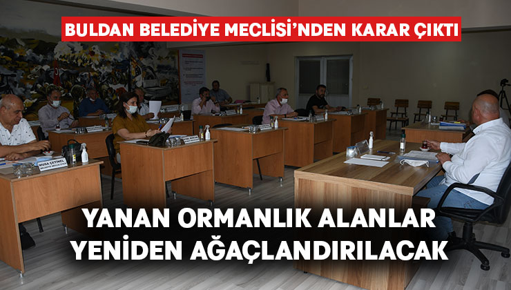 Buldan’da yanan ormanlık alanlar yeniden ağaçlandırılacak