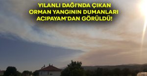 Yılanlı Dağı’nda çıkan orman yangının dumanları Acıpayam’dan görüldü!