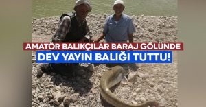 Amatör balıkçılar baraj gölünde dev yayın balığı tuttu!