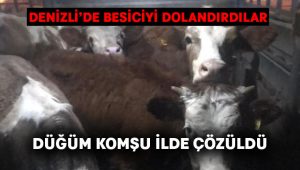 Denizli’deki dolandırıcılık olayı Kula’da çözüldü