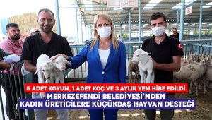 Merkezefendi Belediyesi’nden kadın üreticilere küçükbaş hayvan desteği