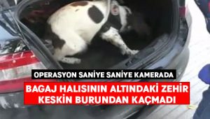 Bagaj halısının altından 700 bin liralık uyuşturucu çıktı