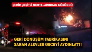 Geri dönüşüm fabrikasındaki alevler geceyi aydınlattı