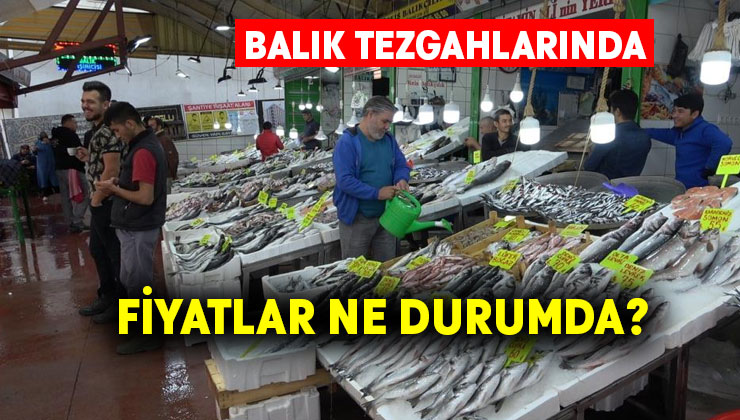 Balık tezgahlarında fiyatlar ne durumda?