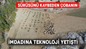 Kaybolan küçükbaşlar drone ile bulundu