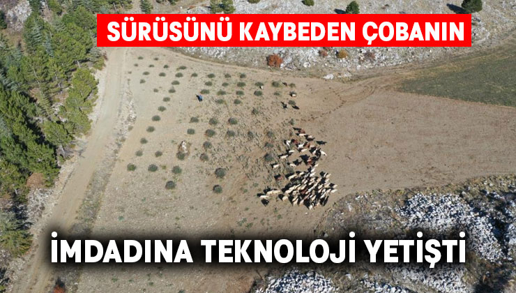 Kaybolan küçükbaşlar drone ile bulundu