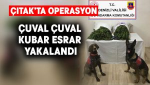 Çıtak’ta uyuşturucu operasyonu