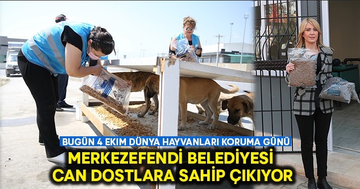 Merkezefendi Belediyesi can dostlara sahip çıkıyor