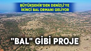 Büyükşehir’den Denizli’ye ikinci bal ormanı geliyor