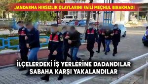 Jandarma hırsızlık olaylarını faili meçhul bırakmadı