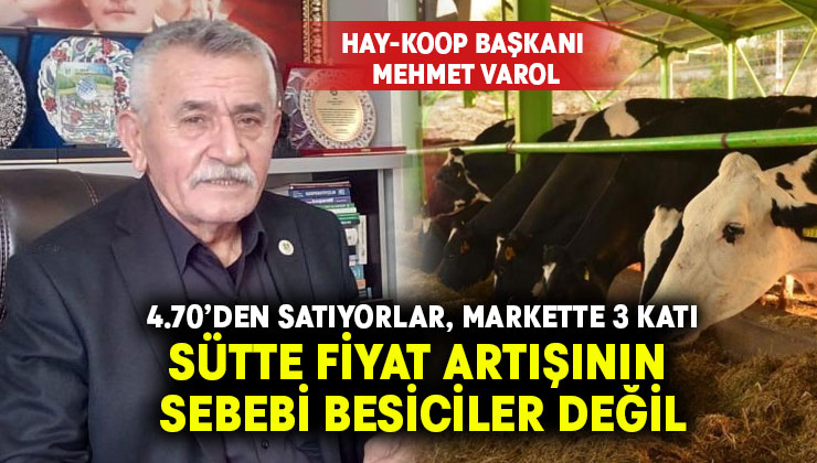 Sütte fiyat artışının sebebi besiciler değil