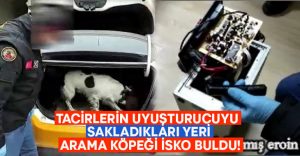 Tacirlerin uyuşturucuyu sakladıkları yeri arama köpeği İsko buldu!