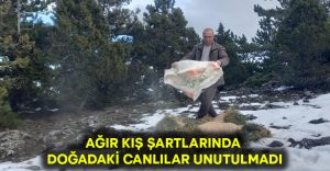 Ağır kış şartlarında doğadaki canlılar unutulmadı