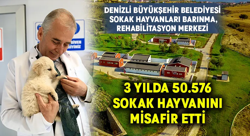 Büyükşehir 3 yılda 50.576 sokak hayvanını misafir etti