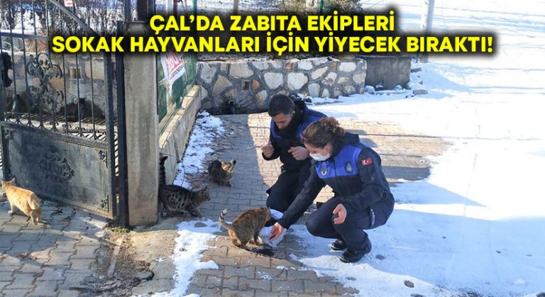 Çal’da sokak hayvanlarına Zabıta şefkati