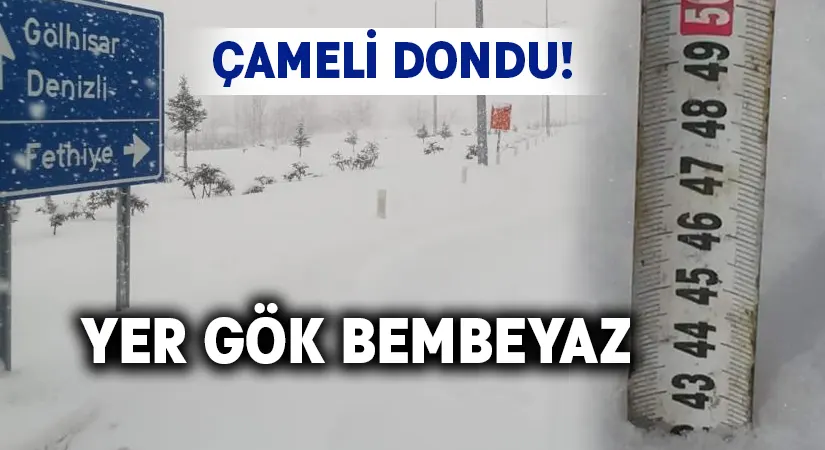 Çameli’de hayat dondu!