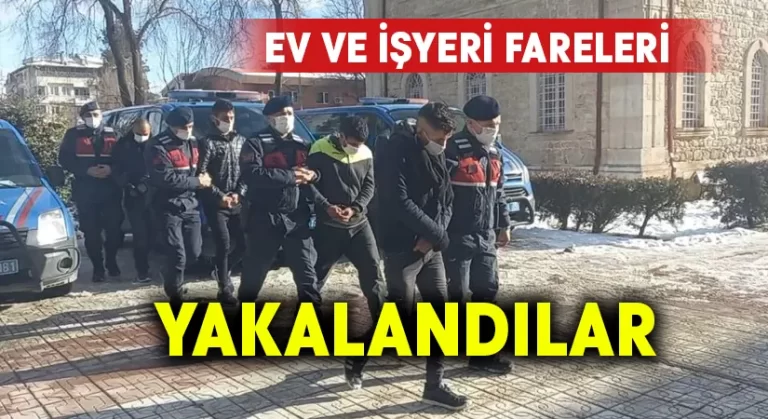 Ev ve işyerlerini soyan hırsızlık şebekesi çökertildi