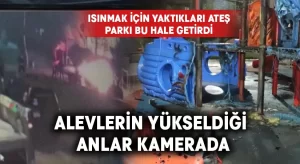 Parkı alev alev yakan gençler kameraya yakalandı