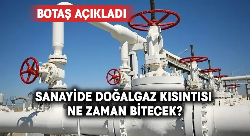 BOTAŞ sanayide doğalgaz kısıntısının ne zaman biteceğini açıkladı