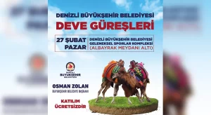 Denizli’de deve güreşi heyecanı yaşanacak