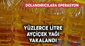 Dolandırıcılar yüzlerce litre ayçiçek yağı ile yakalandı