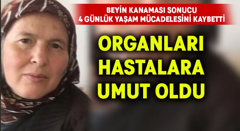 Hayatını kaybeden kadının organları umut oldu