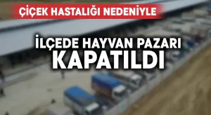 İlçede hayvan pazarı çiçek hastalığı nedeniyle kapatıldı