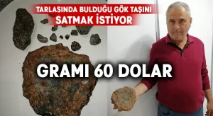 Tarlasında bulduğu gök taşının gramına 60 Dolar istiyor