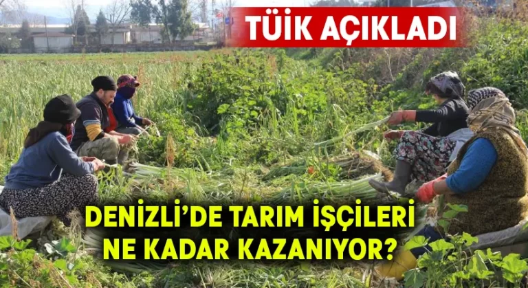 TÜİK açıkladı.. Denizli’de tarım işçileri ne kadar kazanıyor?