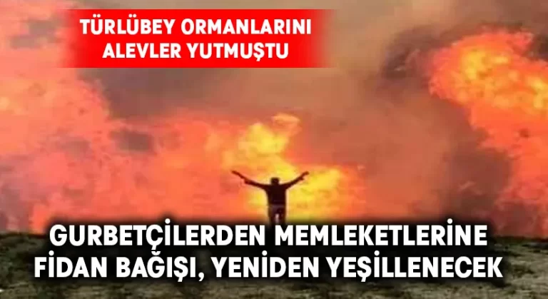 Türlübey ormanlarını alevler yutmuştu.. Gurbetçilerden memleketlerine fidan bağışı