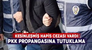 Denizli’de, PKK propagandasına tutuklama