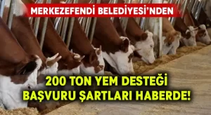 Merkezefendi Belediyesi’nden süt üreticilerine 200 ton yem desteği