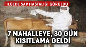 İlçede şap hastalığı görüldü.. 7 mahalleye 30 gün kısıtlama geldi