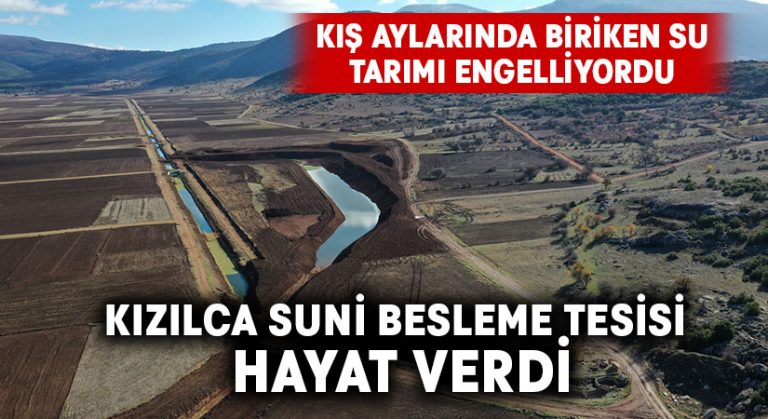 Kızılca Suni Besleme Tesisi Hayat Verdi