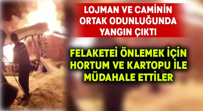 Odunlukta çıkan yangına kartopu ve hortumla müdahale ettiler