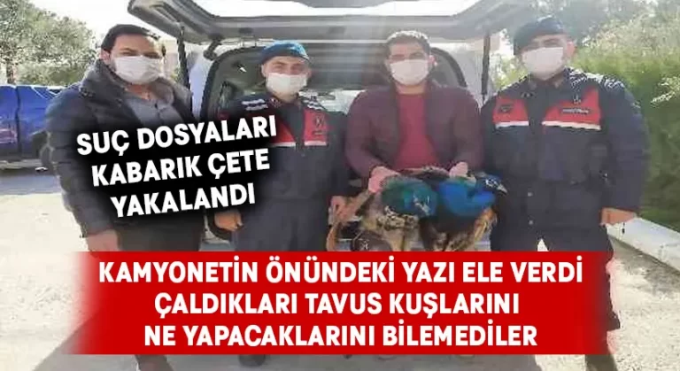 Suç dosyaları kabarık çeteyi, kamyonet önündeki yazı yakalattı