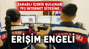 793 internet sitesine erişim engeli